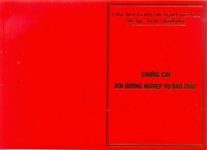 cau-hoi-trac-nghiem-nghiep-vu-dau-thau